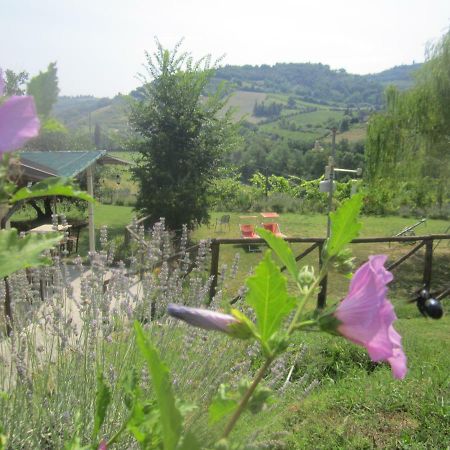 Le Spighe Agriturismo تشيزينا المظهر الخارجي الصورة