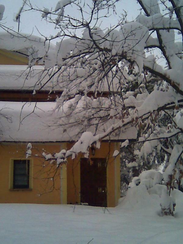 Le Spighe Agriturismo تشيزينا المظهر الخارجي الصورة