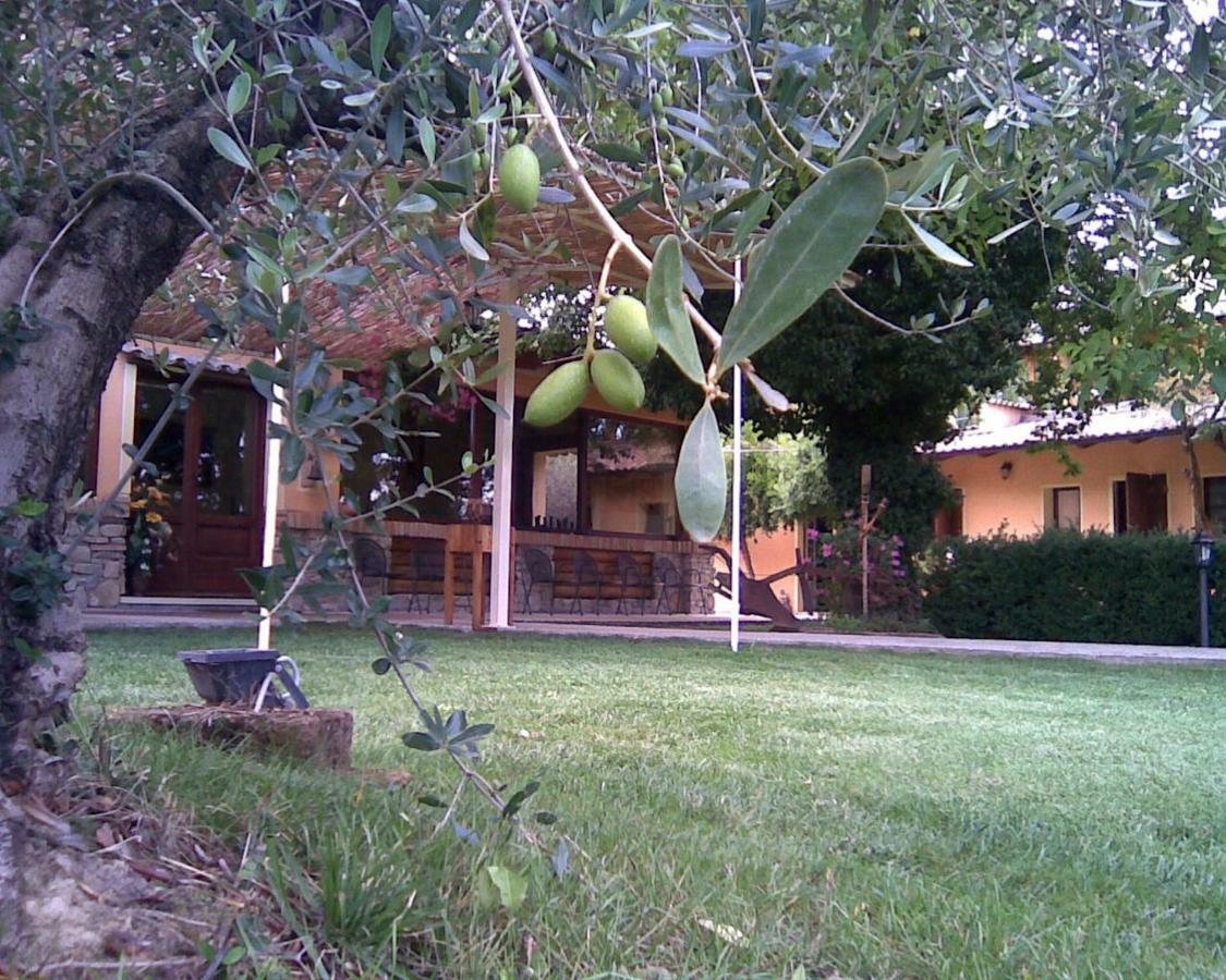 Le Spighe Agriturismo تشيزينا المظهر الخارجي الصورة