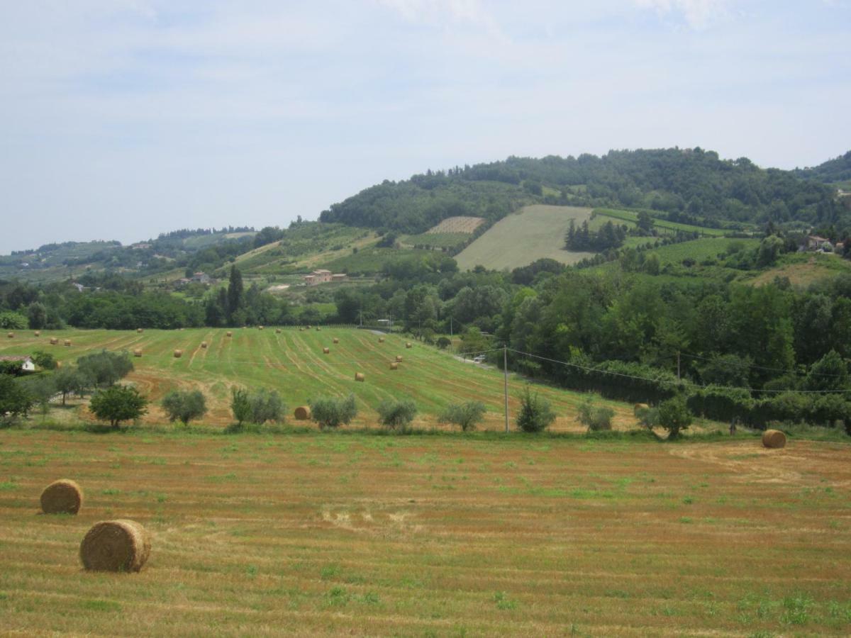 Le Spighe Agriturismo تشيزينا المظهر الخارجي الصورة