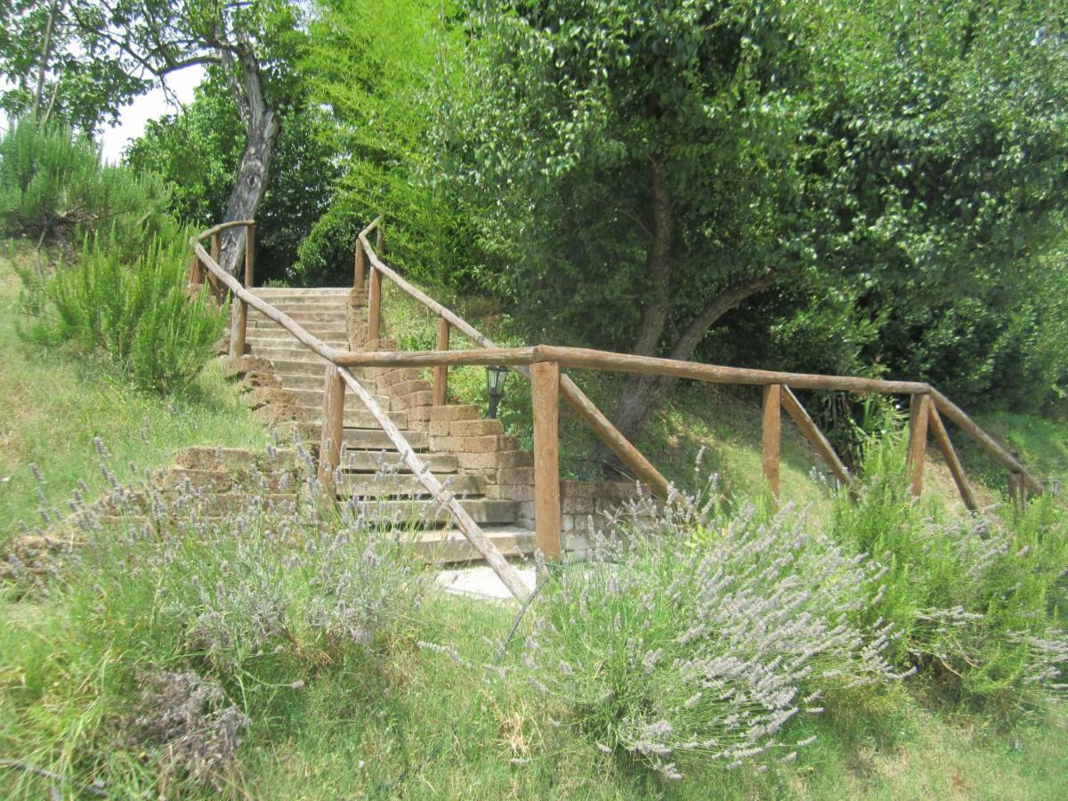 Le Spighe Agriturismo تشيزينا المظهر الخارجي الصورة