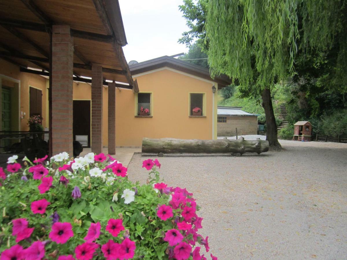 Le Spighe Agriturismo تشيزينا المظهر الخارجي الصورة